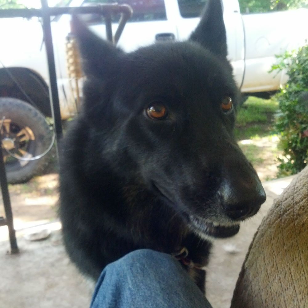 Meet your Posher, Kym